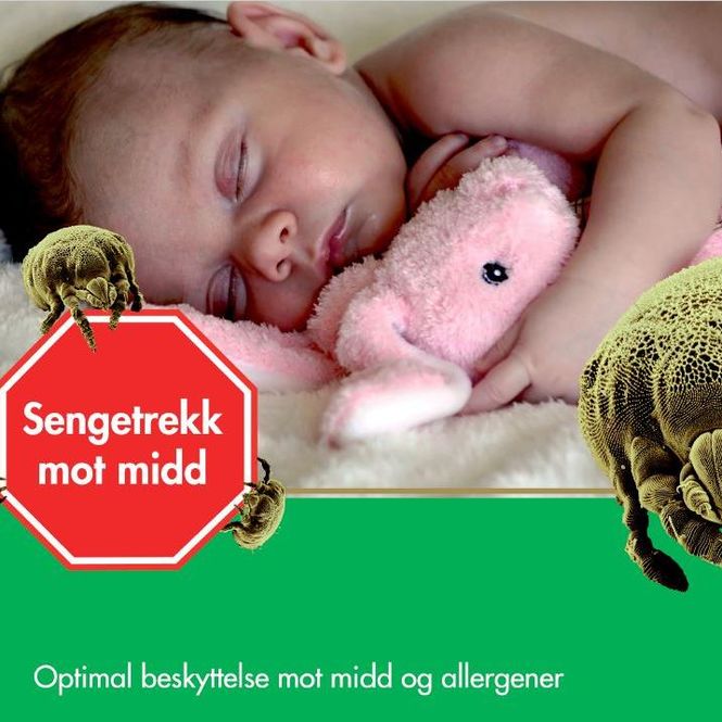 Hovedbilde MiteBlock Rammemadrasstrekk ...